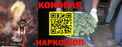 индика Северобайкальск