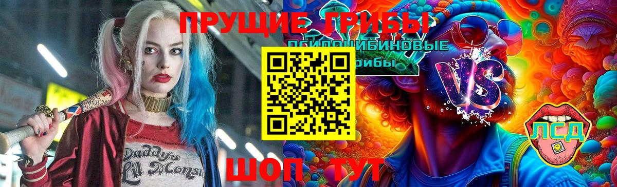 купить закладку  Галлюциногенные грибы Psilocybine cubensis  Галлюциногенные грибы GOLDEN TEACHER  Вход с VPN  Белореченск 